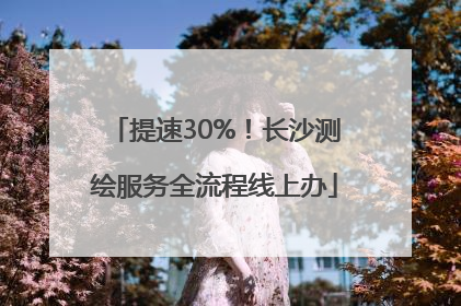 提速30%！长沙测绘服务全流程线上办